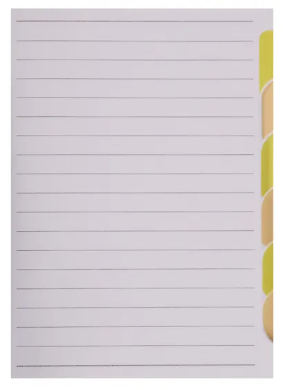 Записная книжка А6- 200л "NOTEBOOK" офсет, 7БЦ, поролон, глянц.лам., ляссе, вырубка, Феникс - фото 4