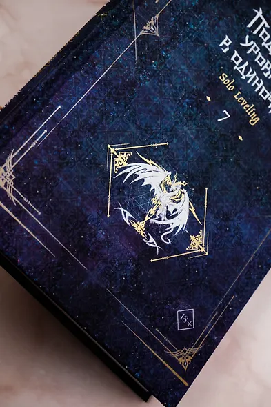 Поднятие уровня в одиночку. Книга 7 (Solo Leveling). Новелла - фото 7