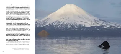 Сто заповедных лет. Фотоистория большого путешествия. Том 2: Камчатка - фото 6