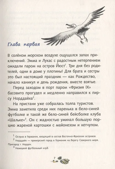 Скелет кашалота - фото 4