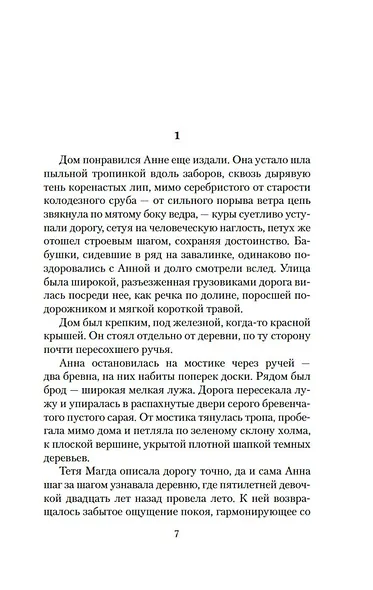 Похищение чародея. Журавль в руках. Город Наверху - фото 8