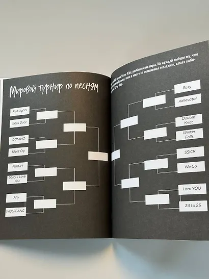 Stray Kids и я. Иллюстрированный фанбук с фотографиями группы - фото 12