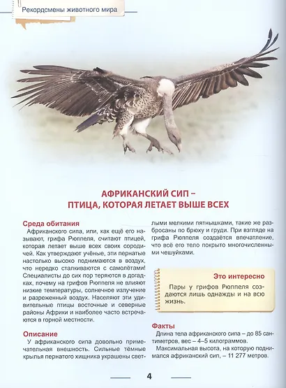 Энциклопедия для детей рекордсмены животного мира - фото 4
