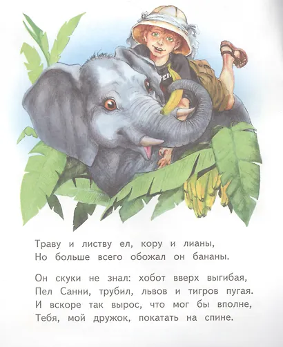 Слонёнок Санни - фото 4