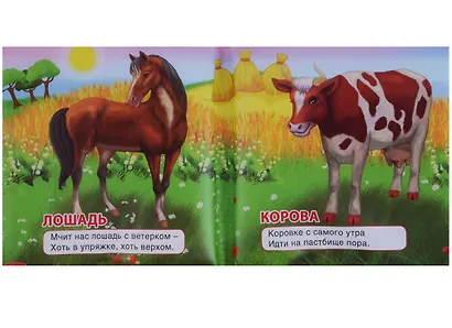 Домашние животные.  книжка-пищалка для ванной - фото 3