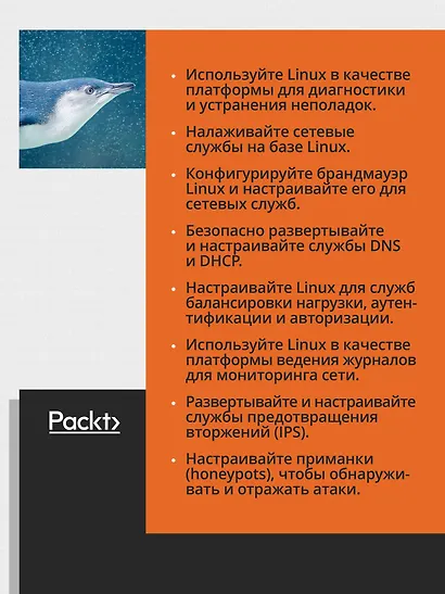 Linux для сетевых инженеров - фото 4