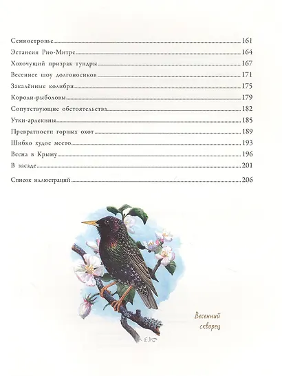 Кеа и другие - фото 3