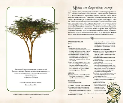 Тайный язык деревьев - фото 3