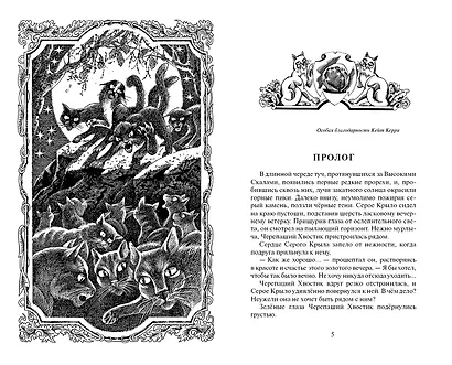 Звёздная тропа - фото 2