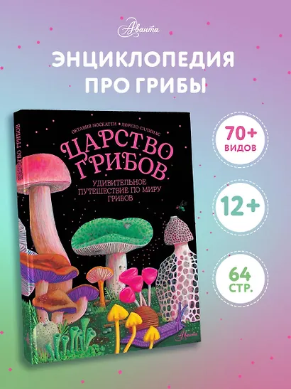Царство грибов - фото 4