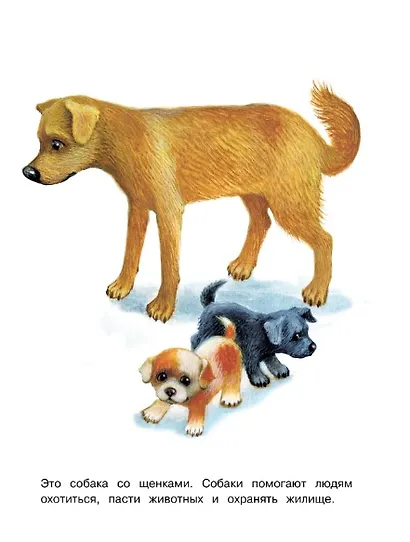 Домашние животные. Окружающий мир. Раскраска - фото 4