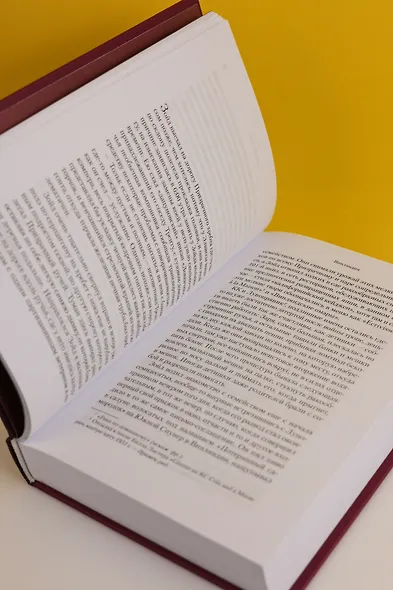 Винляндия - фото 13