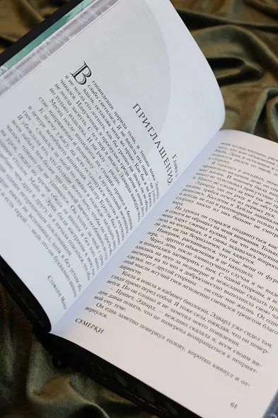 Сумерки (подарочное издание) - фото 14