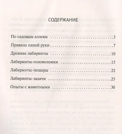 Лабиринты - фото 2