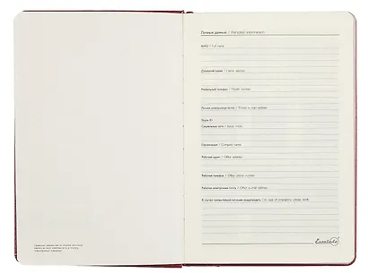 Ежедневник недат. А5 160л "Сариф" бордовый, кожзам, тв.переплет, место для ручки, офсет, ляссе - фото 3