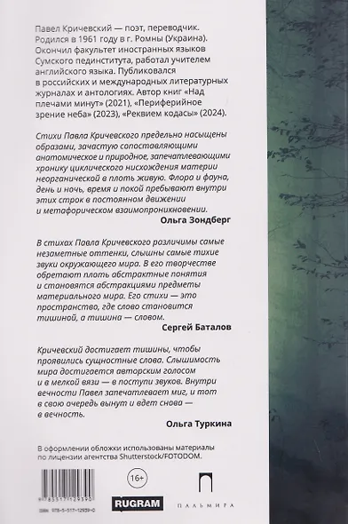 Странные хрупкие вещи - фото 2