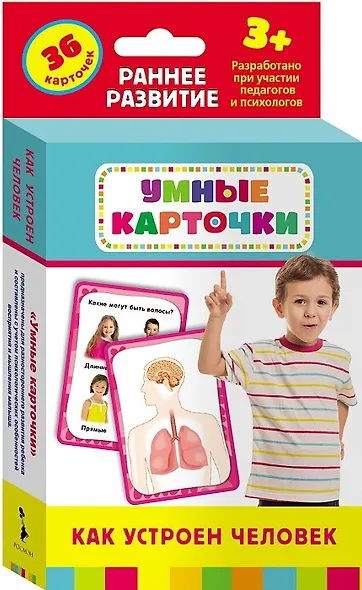 Как устроен человек : настольно-печатная развивающая игра. 36 карточек, для детей старше 3-х лет - фото 1