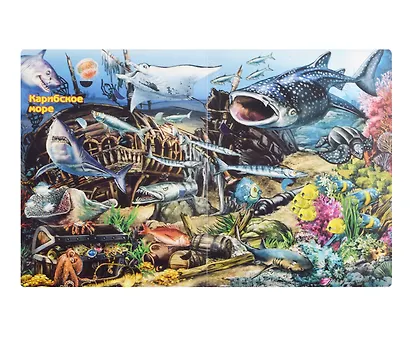 Что там, под водой? Энциклопедия с окошками. 110 окошек с секретами - фото 4