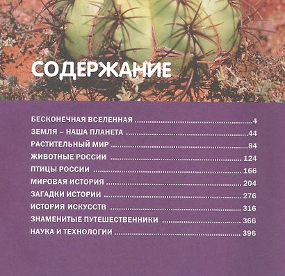 Большая детская энциклопедия. Лучший подарок школьнику - фото 2