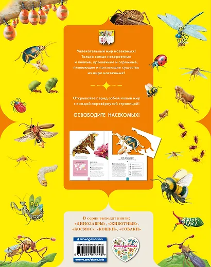 Насекомые - фото 2