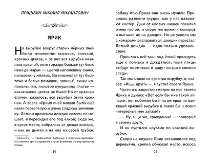 Внеклассное чтение для 3-го класса (с ил.) - фото 10