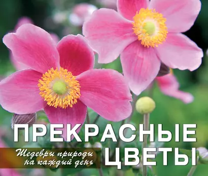 Прекрасные цветы. Шедевры природы на каждый день - фото 1