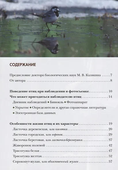 Жизнь и поведение птиц - фото 2