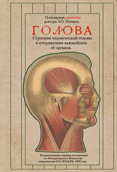 Голова. Строение человеческой головы и отправления важнейших её органов - фото 1