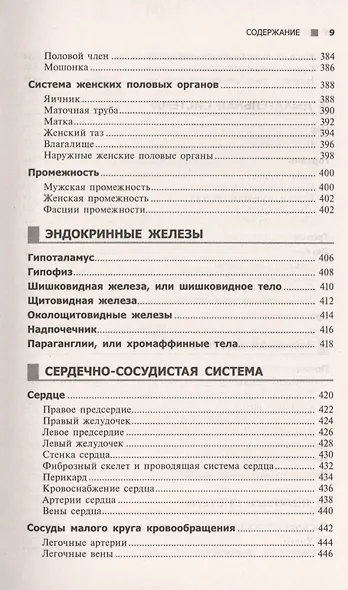 Справочный атлас анатомии человека (На основе Международной анатомической терминологии) - фото 10