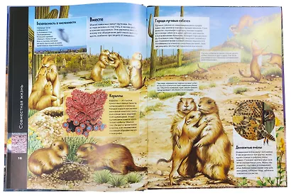 Животные. Виртуальная реальность - фото 5