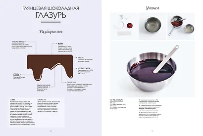 Большая книга шоколатье: Конфеты, выпечка, десерты, антреме. Учимся готовить шедевры - фото 5