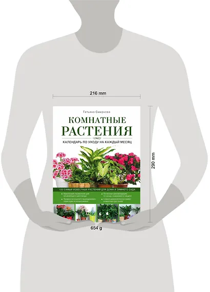 Комнатные растения: календарь по уходу на каждый месяц - фото 3