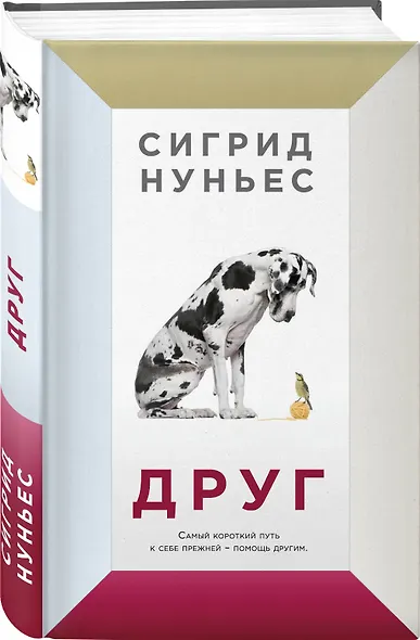 Друг - фото 3