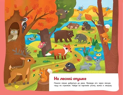 Пиши-стирай. Найди, покажи, дорисуй - фото 5