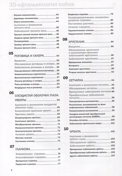 3D-офтальмология собак - фото 3
