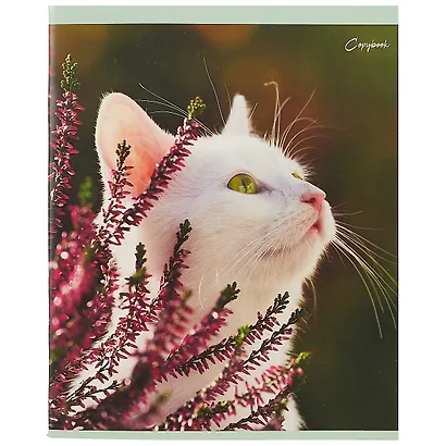 Тетрадь в линейку Unnika, "Кот без забот", 48 листов, в ассортименте - фото 6