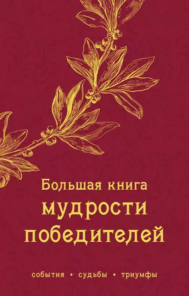 Большая книга мудрости победителей - фото 1