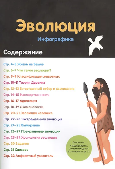 Эволюция. Инфографика - фото 2