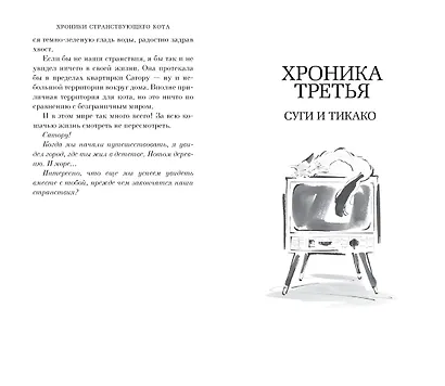 Хроники странствующего кота - фото 14