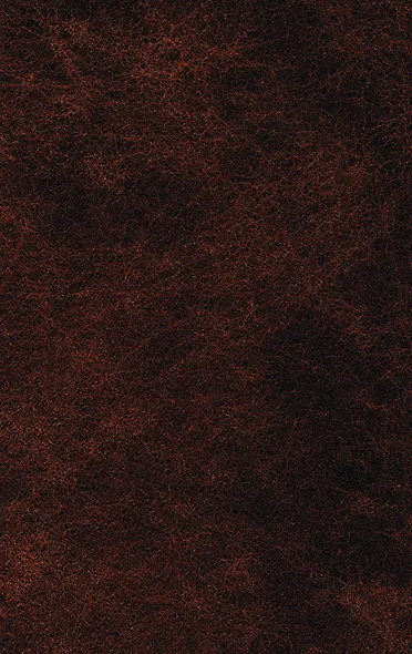 Гранатовый браслет - фото 2