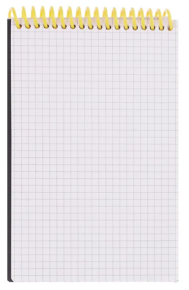 Блокнот в клетку 120*190 "Black", 80 листов, спираль, резинка, Schiller - фото 6