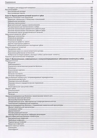 Стоматология собак и кошек - фото 4