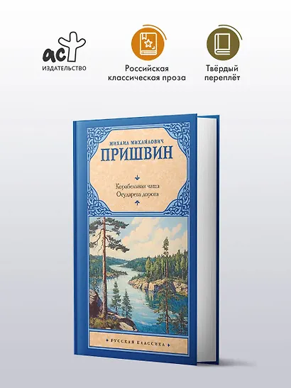 Корабельная чаща. Осударева дорога - фото 3