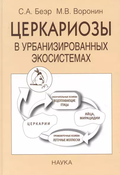 Церкариозы в урбанизированных экосистемах - фото 1