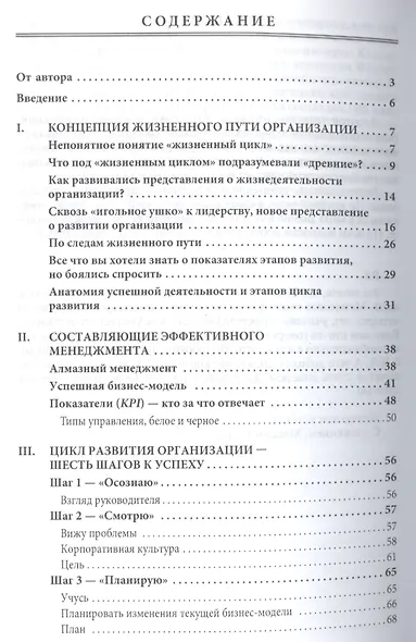 Жизненный путь и цикл разв.организации:Практ.пос - фото 2