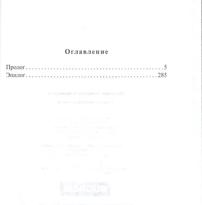 Светлая хозяйка его замка - фото 2