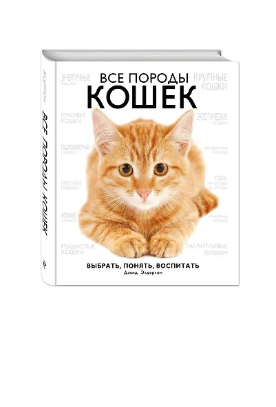 Все породы кошек - фото 3