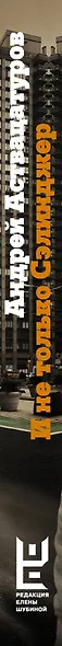 Аствацатуров!И не только Сэлинджер: десять опытов прочтения английской и американской литературы - фото 4