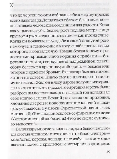 Долина Иссы. Роман - фото 3