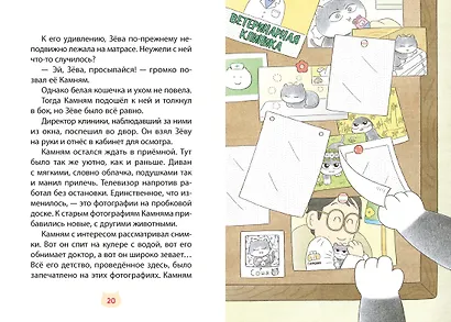 Доктор Камням - фото 11